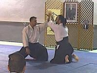 Suwari wasa Irimi tenkan