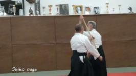 Shiho nage