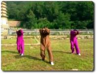 2 - Le cerf