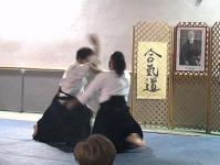Suwari wasa Irimi nage