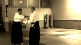 Aï hanmi katate dori nikyo