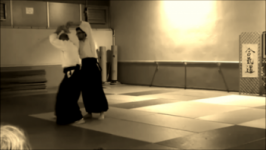 Tachi dori shiho nage