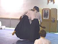 Tachi wasa Irimi nage
