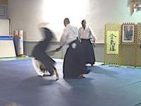 Ryote dori Niningake