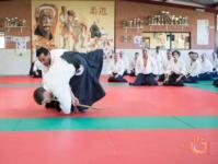 Jo nage kaeshi sur shiho nage
