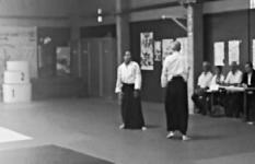 Shodan Nico