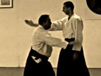 Shiho nage, te katana