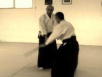 Tachi dori shiho nage