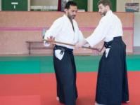 Jo dori Shiho nage