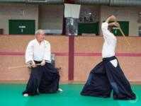 Ken, irimi nage (omote-ura)