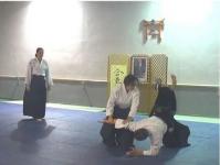Shomen Uchi Ikkyo