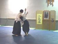 Ushiro ryote dori Variations