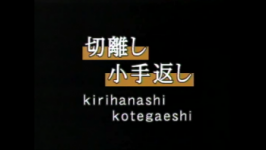 Sode dori kote gaeshi