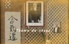 Thème du stage
