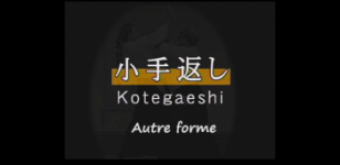 forme 2, proche de yokomen