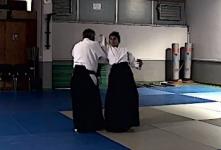 Gyaku hanmi katate dori, shiho nage