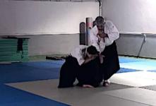 Gyaku hanmi katate dori, ude garami