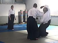 Ushiro ryote dori, jiyu wasa
