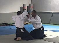 Mae ryote dori, kokyu ho