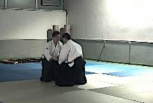 Tai no henka, Shisei
