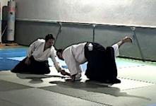 Hanmi handashi wasa, shiho nage