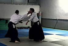 Gyaku hanmi katate dori, projections